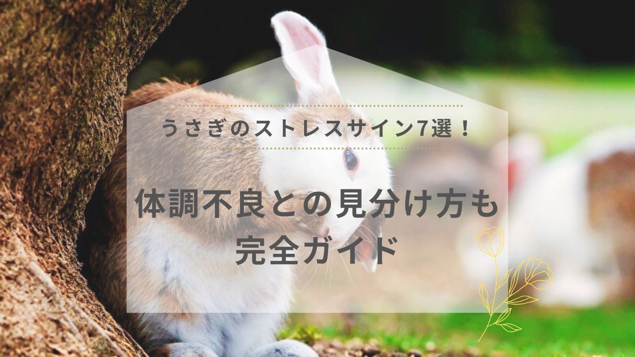 うさぎのストレスサイン7選！体調不良との見分け方も完全ガイド