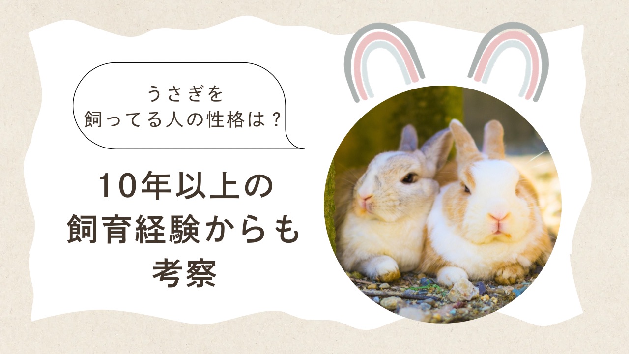 うさぎを飼ってる人の性格は？10年以上の飼育経験からも考察