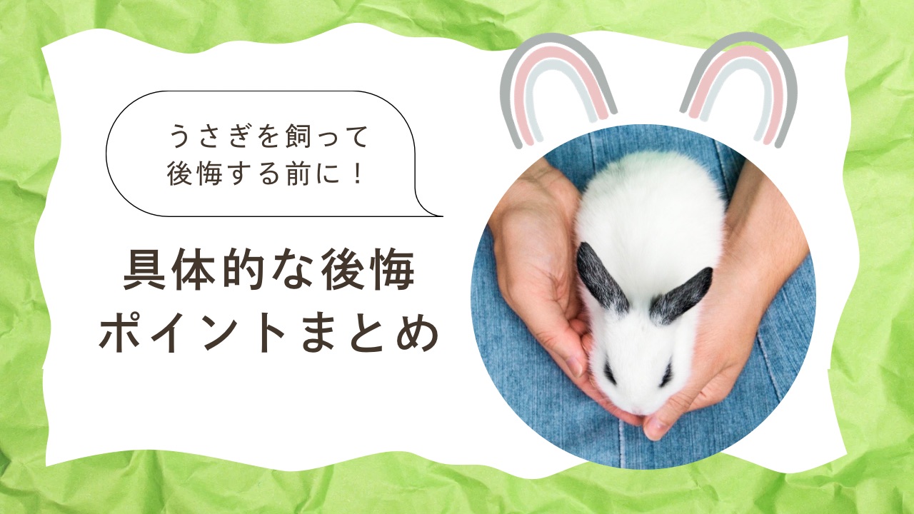 うさぎを飼って後悔する前に！具体的な後悔ポイントまとめ