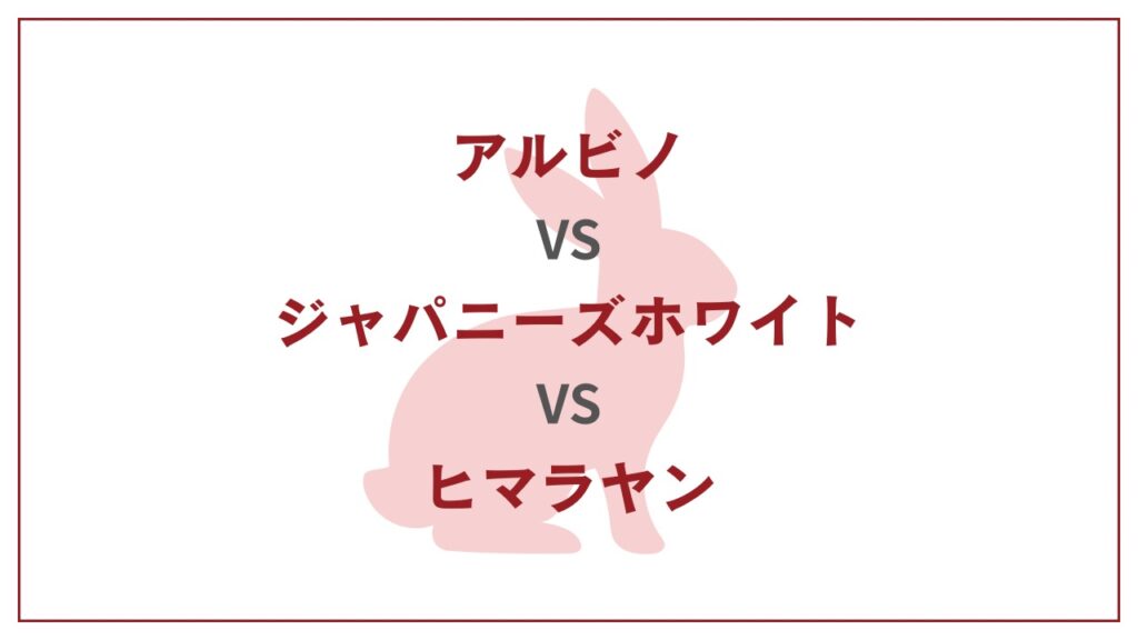 アルビノVSジャパニーズホワイトVSヒマラヤン