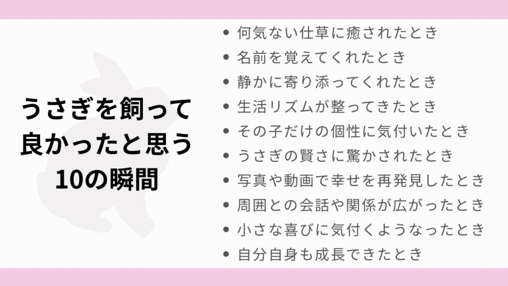 うさぎを飼って良かったと思う10の瞬間