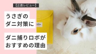 【正直レビュー】うさぎのダニ対策にダニ捕りロボがおすすめの理由